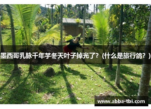 墨西哥乳脉千年芋冬天叶子掉光了？(什么是旅行鸽？)