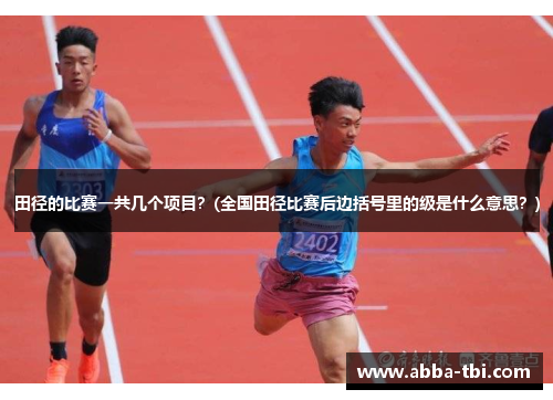 田径的比赛一共几个项目？(全国田径比赛后边括号里的级是什么意思？)